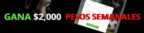 La Quiniela 247 Online en México | 2023