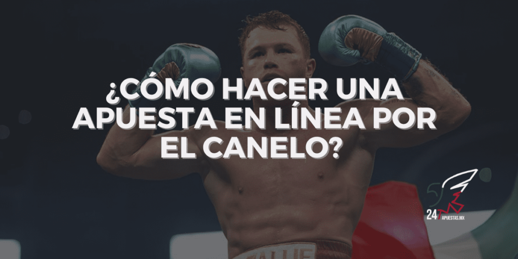 Cómo Hacer una Apuesta en Línea por el Canelo